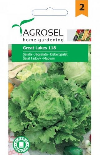 Saláta jégsaláta Great Lakes 3gr Agrosel