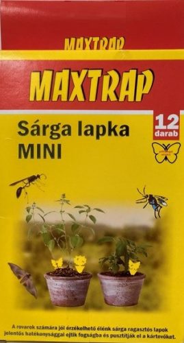 Sárga lapka mini Maxtrap 12db