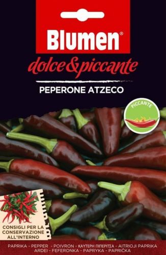 Paprika chili Atzeco Blumen