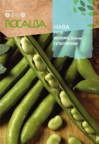 Bab /bokor/ Lóbab Muchamiel 70g Rocalba