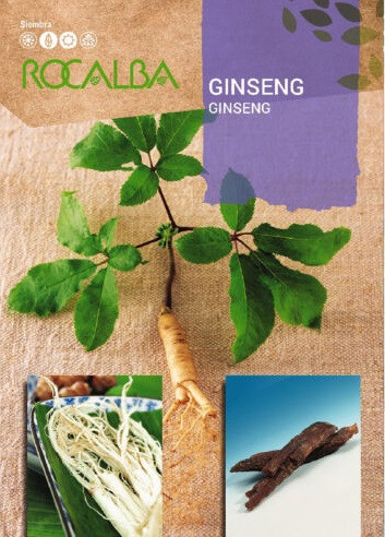 Ginseng 4mag /ginseng gyökér/